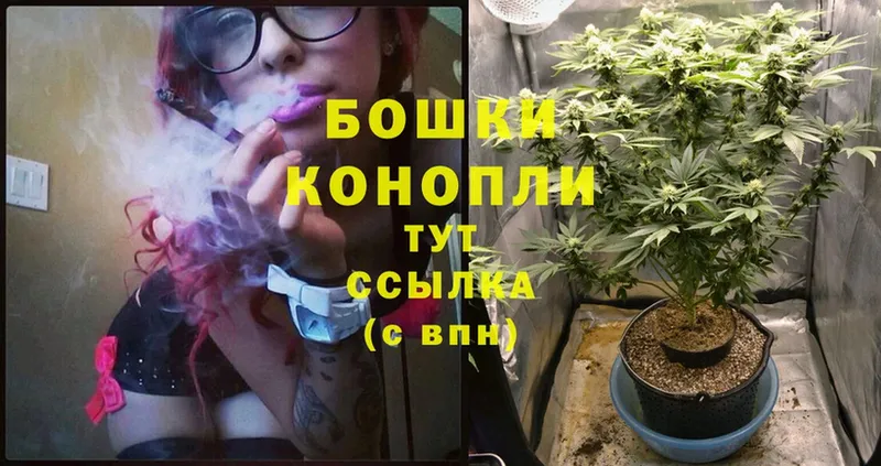 МАРИХУАНА SATIVA & INDICA  Белово 